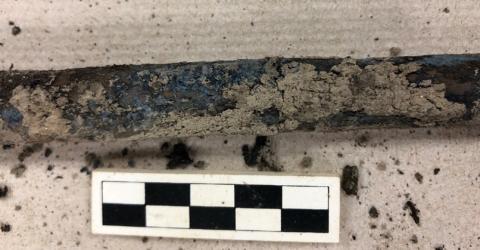 Vivianite on a long bone from G-260 courtesy of Kim Eberle-Wang Portion of a bone long with dirt and dark blue streeks