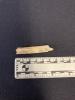 Bones from Arch Street