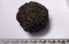 A small dark brown wrinkled lump is actually a preserved brain.